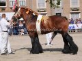 20121228151449.JPG